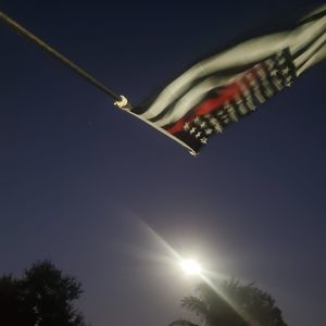 Meet your Posher, Larry